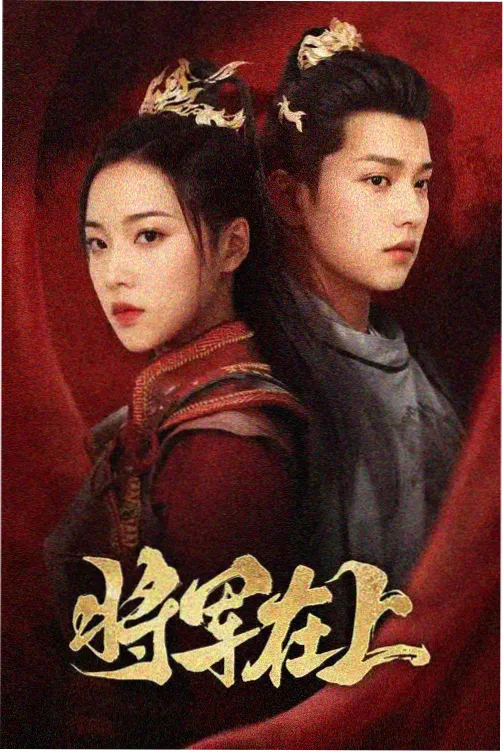 风骚律师
